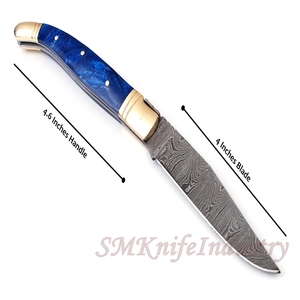 Custom Hand Forged Pocket Knife Hand Made Damascus Folding Knife with Leather Sheath Cover (smk1693) - Product Image 2