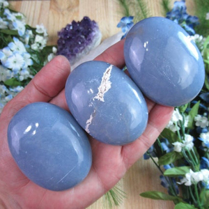 Pierres de palmier en angélite, pierres semi-précieuses, 8 pierres - Product Image 2