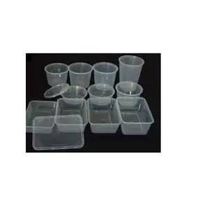 Cheap Price Wholesale Multi Purpose PP Plastic Box - Tray - Disposable Clear Transparent Plastic Box