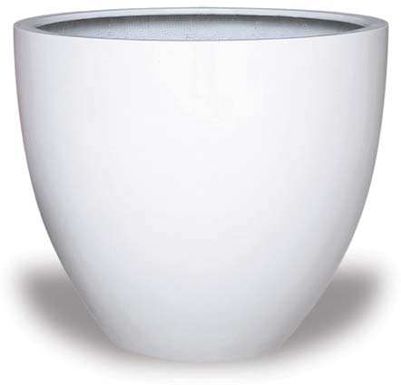 สีขาวด้าน