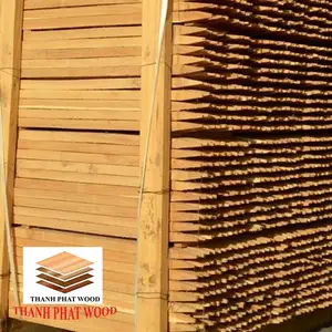 뜨거운 판매 싼 가격 아카시아 나무 말뚝 처리 목재 낮은 가격 베트남