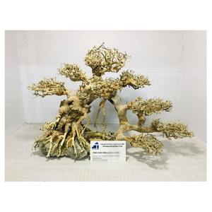 Productos Especiales - Madera Flotante para Acuarios de Proveedor Confiable de Vietnam, para Decoración de Fondo de Acuarios - Product Image 5