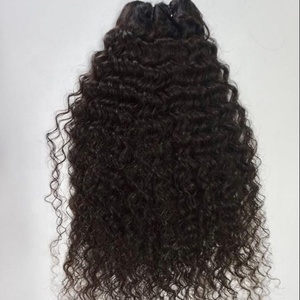 Cheveux humains indiens 18 pouces, qualité supérieure, bouclés naturels, extensions de cheveux Remy bruts pour tissage capillaire - Product Image 1