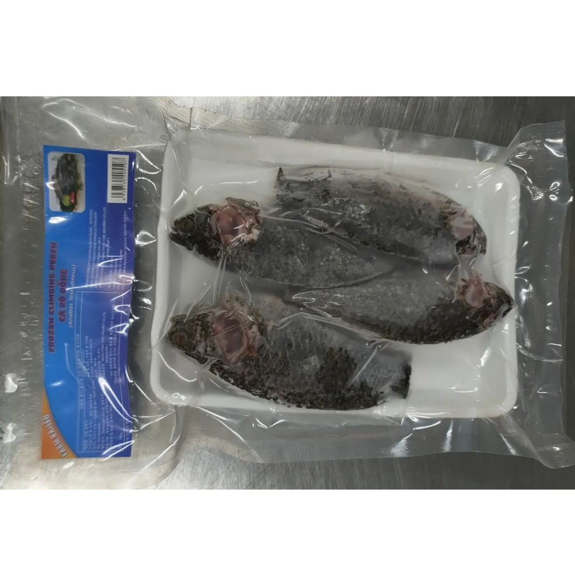 Food Frozen Whole Round Black Tilapia Fish 500800 Gms Gutted Scaled Ggs Tilapia In Competitive Price