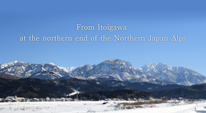 100% bột Wasabi nguyên chất trong gói 7.5g <span class=keywords><strong>mazuma</strong></span> Wasabi Nhật Bản gia vị Sushi Sashimi bít tết nướng Sản xuất tại Nhật Bản - Product Image 6