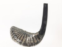 Shofar Casher en Corne de Bélier Naturelle Indienne, Sculpté Style Animal, Écologique, Durable, de Collection, pour la Récitation Religieuse, Biologique et Naturel