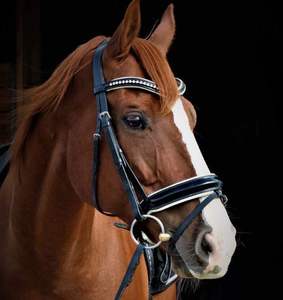 Remaches, herramientas de decoración para el hogar - Product Image 2