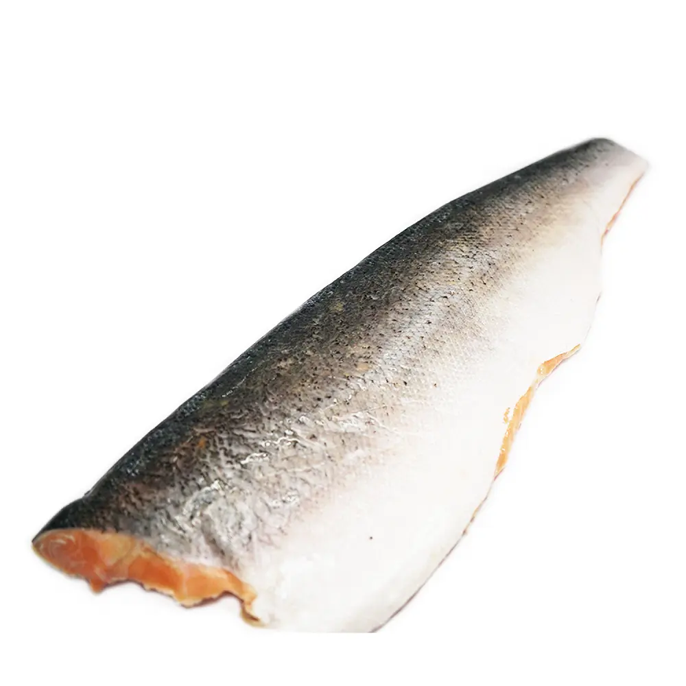 Frozen Orange Fillet Salmon With 3-5% Glazing Max Moisture And 24 Months Shelf Life