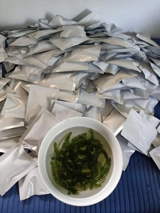 GCAP-uvas de mar secas, sazonadas, sabor verde, 100 gramos + 84905010988 - Product Image 4