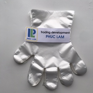 Gants PE jetables de haute qualité pour le nettoyage du printemps et de l'automne Protection estivale Service alimentaire Cuisine domestique Utiliser directement Vietnam - Product Image 2