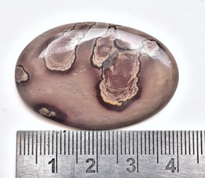 หินแจสเปอร์เมล็ดกาแฟ Cabochon,หินโมราสำหรับใส่เมล็ดกาแฟรูปทรงและขนาด - Product Image 2