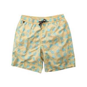 Short de sport décontracté pour hommes, course à pied, jogging, gym, planche de plage, design rayé, fonction anti-rides - Product Image 1