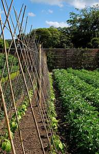 เสาไม้ไผ่ที่เป็นมิตรกับสิ่งแวดล้อมเสาไม้ไผ่คุณภาพสูงสำหรับสวนที่ผลิตในเวียดนามโดย Eco2go เวียดนาม - Product Image 6