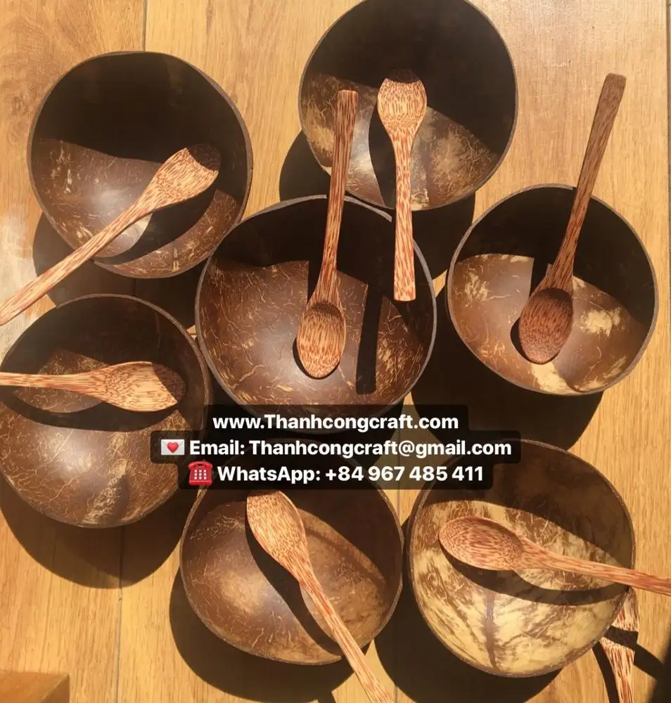 Coconut shell bowls lacquered cheap coconut bowl buying in large quantity for Mauritius coconut bowl