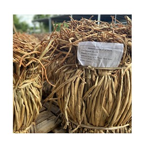 ขายส่งเวียดนามน้ำผักตบชวาวัสดุสำหรับเฟอร์นิเจอร์และหัตถกรรม-เชือกธรรมชาติ-แห้งผักตบชวาเชือกถัก