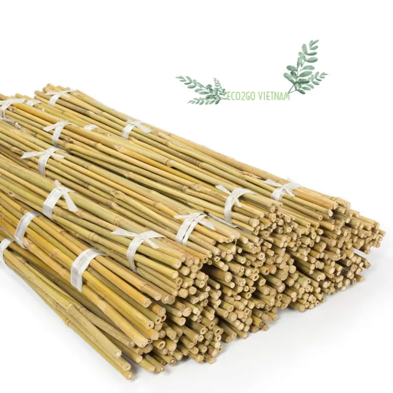 Eco2goベトナム製の農業で使用するための庭/竹棒サポートプラント用の100% 天然で持続可能な竹棒