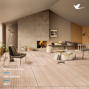 Carreaux de porcelaine design exclusifs finition mate pour salle de bain 600x600/600x1200mm pour décoration intérieure indienne - Product Image 3