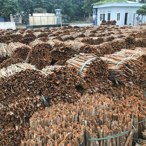 VIETNAM CASSIA - CINNAMON BEST PRICE & HIGH QUALITY FOR WHOLESALES - Product Image 5