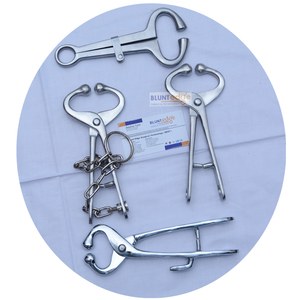 Porte-bouledogue en acier inoxydable avec chaîne pour bétail - Réutilisable et durable - Product Image 5