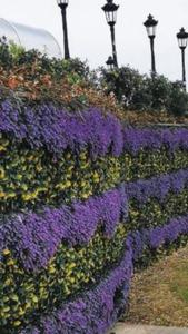 Best price ! Artificial hedge <strong>boxwood</strong> anti UV made from high quality pvc vertical artifical grass for outdoor indoor purposes