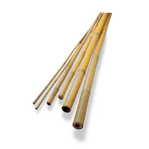 Factory Price Hollow Moso Guadua Tonkin Tam Vong Solid Bamboo Poles Cheap Price from Vietnam