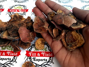 <span class=keywords><strong>Melograno</strong></span>-Anar Chilka Export Quality Good For Your Hair And Skin ha proprietà curative che aiutano a combattere l'acne - Product Image 5