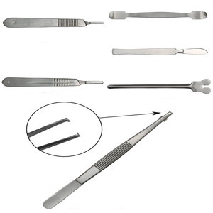 Juego de Anatomía, Instrumentos Quirúrgicos Veterinarios, Kit de Disección Manual de Acero Inoxidable con Certificación CE de Dental Point - Product Image 5