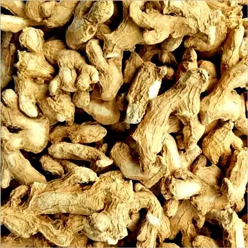 Best Quality Fresh Ginger From German Farms
