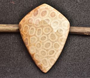 ปะการัง Cabochon AAA + Fosil หินปะการังสำหรับเครื่องประดับทุกประเภทรูปร่างผสมสำหรับการออกแบบเครื่องประดับราคาขายส่ง - Product Image 4