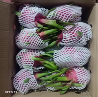 Vers Drakenfruit/Zeer Goedkope Prijs Vers Drakenfruit