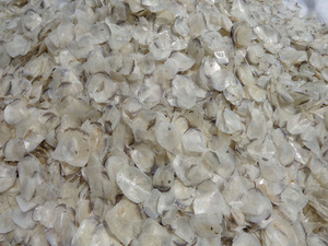 เวียดนามปลาแห้งทั้งหมดมีโปรตีนสูงได้รับการรับรองมาตรฐาน ISO & HACCP บรรจุภัณฑ์ขนาดใหญ่2021แอกเซล + 38 776 0892 - Product Image 3