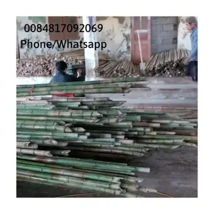 Bastão de bambu secado diretamente, bengala de bambu/vietnã, grande jardim, materiais grandes 0084817092069 ws