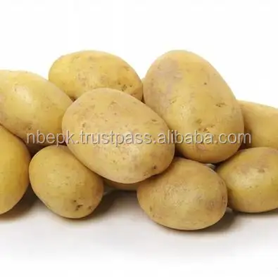 Nieder län dische Samen kartoffel aus Pakistan