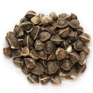 Tinh Khiết Tự Nhiên Moringa Hạt Giống Dầu Tinh Dầu Tàu Sân Bay Với Mức Độ <span class=keywords><strong>Cholesterol</strong></span> Điều Khiển Tài Nguyên Nguyên Liệu Moringa Hạt Giống - Product Image 3
