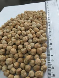 Chicpeas mejor calidad orgánica Kabuli garbanzos/garbanzos frijoles secos naturales guisantes de alta calidad al por mayor - Product Image 2