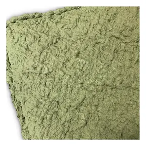 말레이시아 제조 가격 자연 매립지 고무 가정용 장갑 (녹색)