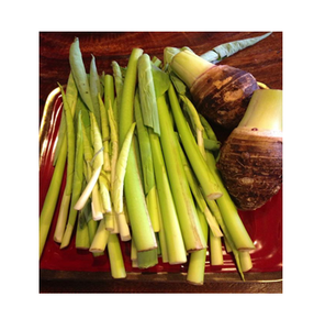 Tallo de Taro seco orgánico hecho en Vietnam/Rachel: + 84896436456 - Product Image 2