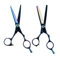 Ciseaux de Coiffure Professionnels pour Gauchers, Ensemble de Salon de Coiffure, Manche en Plastique, Lame en Acier Inoxydable, Pointe Affûtée, Ciseaux à Effiler