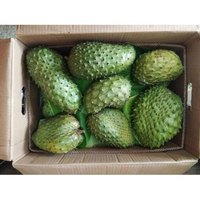 FRUITS DE COROSSOL FRAÎCHES À PRIX TRÈS COMPÉTITIF - AXEL + 84 38 776 0892
