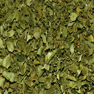 Haute Qualité Pas Cher Exquis Indien Moringa Feuilles - Product Image 1