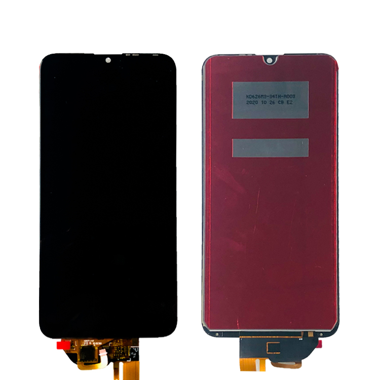 Y7 2019