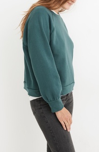 Sweat-shirts d'hiver imperméables en molleton 100 % coton pour femmes, séchage rapide, nouveau design, fabriqués en usine, prix abordable, vêtements de sport unis - Product Image 6