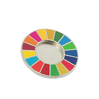 Épingle à revers SDG personnalisée de haute qualité