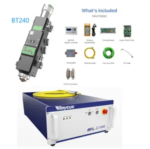 Laser Head Fscut Controller System Raycus Fiber Laser Source With Cutting Head BM111 BM109 BT240