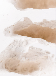 Elera — nid de ferme à fourmis éducatif, plateforme, nid pour fourmis Live - Product Image 3