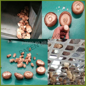 Máquina de eliminación de tallo De Seta, cortador de raíces de setas, Shiitake - Product Image 6