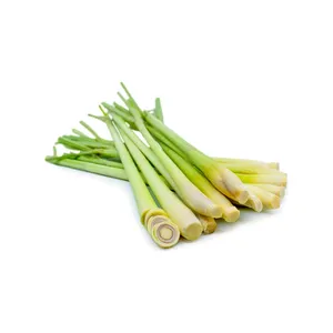 100% Natural Lemongrass Terpenes Essential Oil treat digestive problems and high blood pressure from India