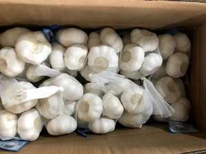 Ail blanc frais Normal à la mode, nouveauté automne - Product Image 5