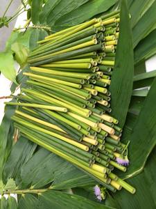 Logotipo personalizado 100% Pajitas de hierba natural Desechables Bar Bebidas Accesorios para beber - Product Image 3