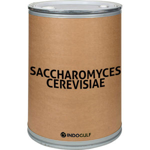 Engrais Biologique IGC Saccharomyces Cerevisiae de Haute Qualité, Poudre 100% Pure, Libération Contrôlée Maharashtra pour le Sol - Product Image 1